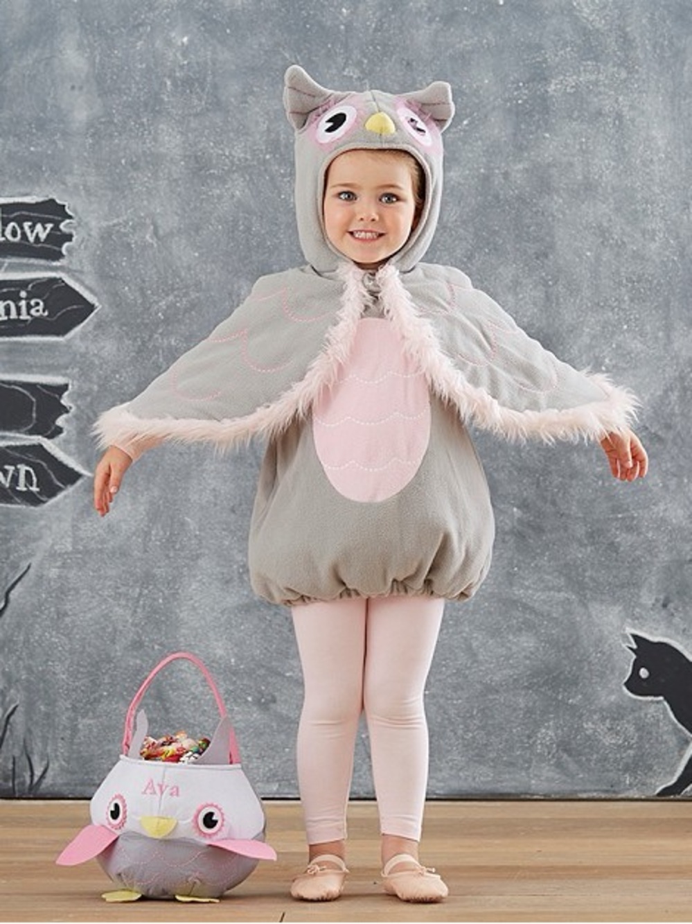 Pottery Barn Kids Owl Costume Dress with Pink Accents 2/3T